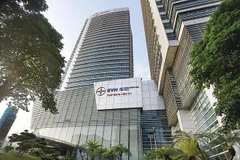EVN sets to become major economic group