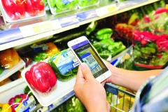Digital economy predicted to reach 43 billion USD by 2025