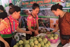 Trade development programme in remote, mountainous areas approved 