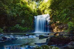 Biodiversity of Kon Ha Nung Biosphere Reserves discovered
