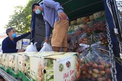 Measures sought to boost lychee sales in domestic, foreign markets