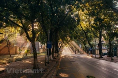 Most beautiful Hanoi street in Autumn