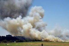 Vietnam builds database on GHG emissions at grassroots level 
