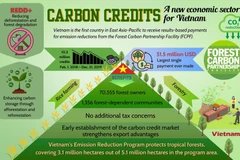 "Unlocking" carbon credit market for Vietnam