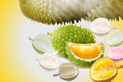 Why durian became Vietnam's "king of exported fruits"