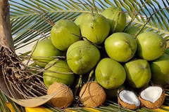 First batches of Vietnam’s fresh coconuts enter China