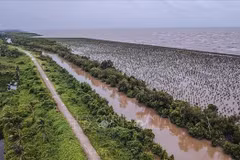 Vietnam to have new master plan for sustainable development of Mekong Delta