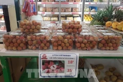 Farm produce reach Europe via Vietnam’s e-commerce platform