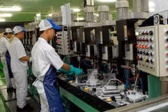 Deputy minister stresses significance of processing, manufacturing sector