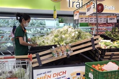 Pandemic-hit HCM City looks to sustain growth momentum this year