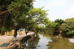 Dich Diep Trang - 1,000-year-old village in northern Vietnam