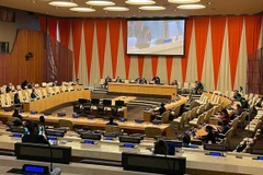 Presidency of UNSC in April marks a new milestone in Vietnam's diplomacy