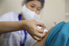 Over 520 people vaccinated against COVID-19