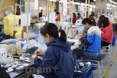 Vietnam earns 10.4 billion USD from footwear exports in H1