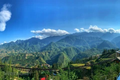 Lao Cai: herbal medicines help to boost tourism