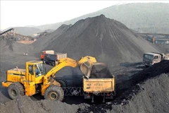 Government issues Decree to protect mineral resources 