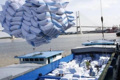 Rice exports to see bright outlook this year
