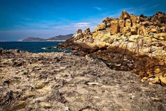 Sea turtles protected at Nui Chua National Park