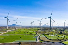 Coal, hydro power to give way to renewables 