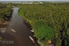 Tan Lap floating village – attractive destination in Long An