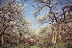 Domestic tours to places close to nature is being increasingly favoured by travelers. (Photo: VietnamPlus) 