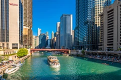 Discovering busy marina cities around the world