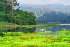 Dong Nai Biosphere Reserve – “green lung” of Southeastern region 