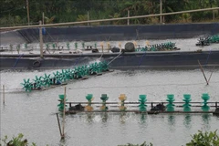 Tien Giang to expand aquatic farming area to over 10,500 ha