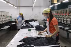 Vietnam pursues consistent policy on women’s empowerment
