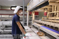 Outstanding advantages make Vietnam attractive to investors: EIU