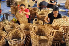 Vietnam’s economic growth could hit 6.3 percent this year: VEPR