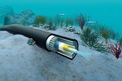 Repairs to Vietnam's two undersea cables to take weeks