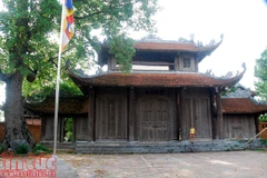 Nom Pagoda - a treasure from the past