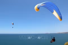 Binh Thuan looks to the sky as paragliding hub