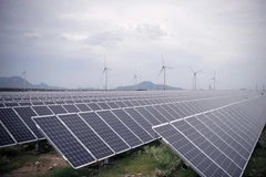 Ninh Thuan looks to become national renewable energy centre