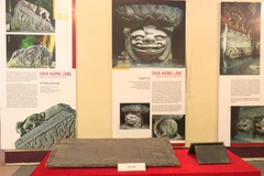 Artefacts on Ha Nam province on display