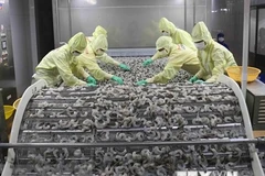 Agro-forestry-fisheries posts 7.9 bln USD trade surplus