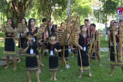 First ethnic minority cultural festival held in Gia Lai province