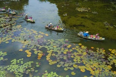 Tam Coc tourism site impressive in Autumn