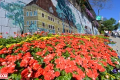 Da Lat - hub of flower exports