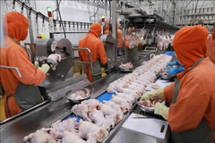 Consumption habits contribute to expanding food industry's export markets