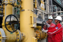 Investors of Son My gas-electricity chain projects make debut