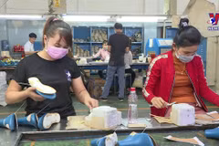 Hope for Vietnam's billion-dollar export industry at year’s end