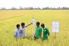 Vietnam’s agricultural sector sows green values