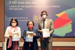 First overall report on gender equality in Vietnam released
