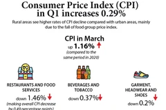 Consumer Price Index (CPI) in Q1 increases 0.29%