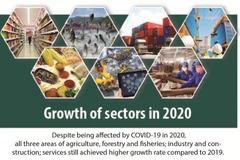 Sectors continue to grow despite Covid-19