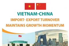 Vietnam-China import-export turnover maintains growth momentum