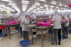 Fishery exports exceed 10 billion USD in 11 months