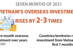 Vietnam's overseas investment rises by 2-3 times 
